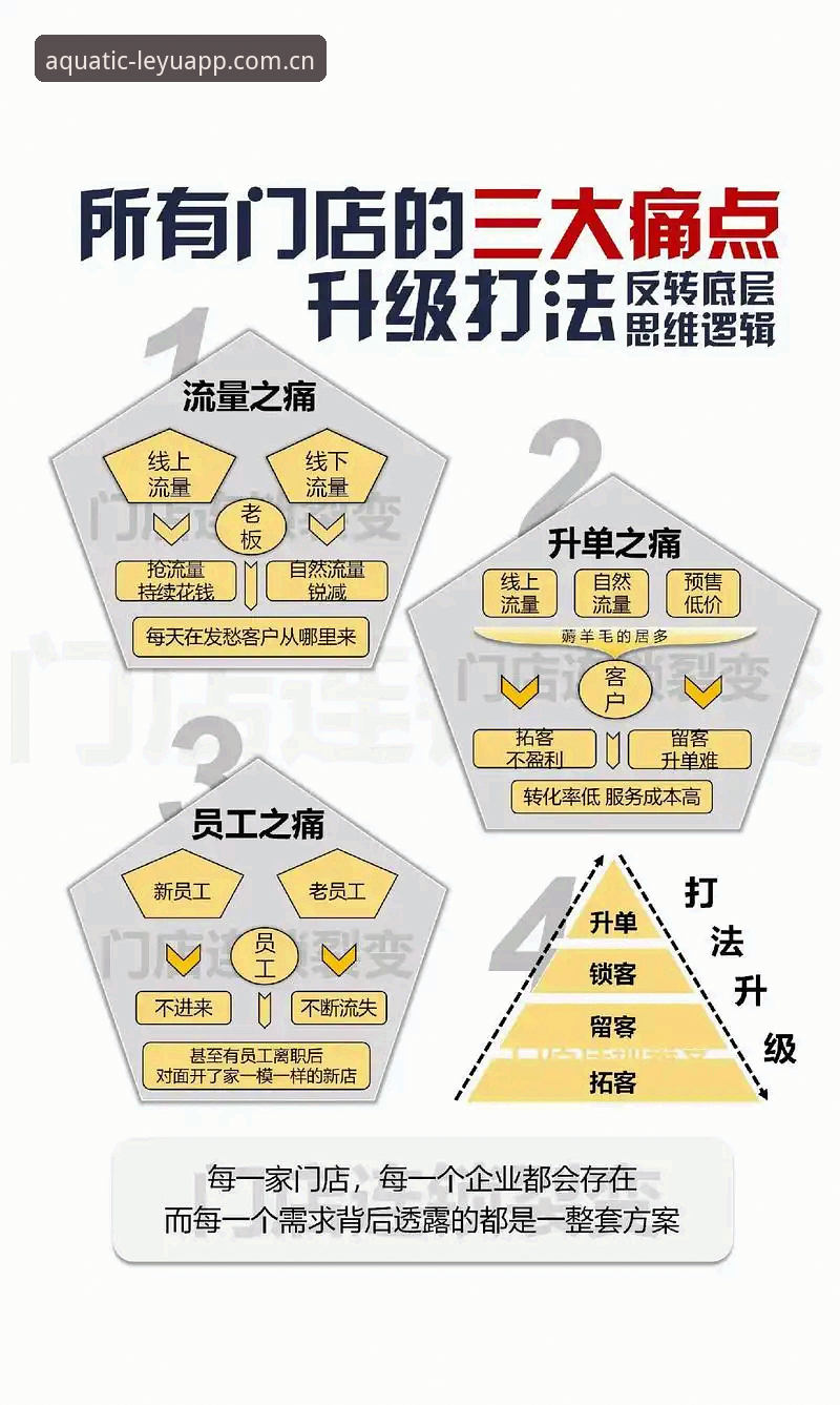 乐鱼新版首发取径详解：从用户痛点看2025版升级逻辑