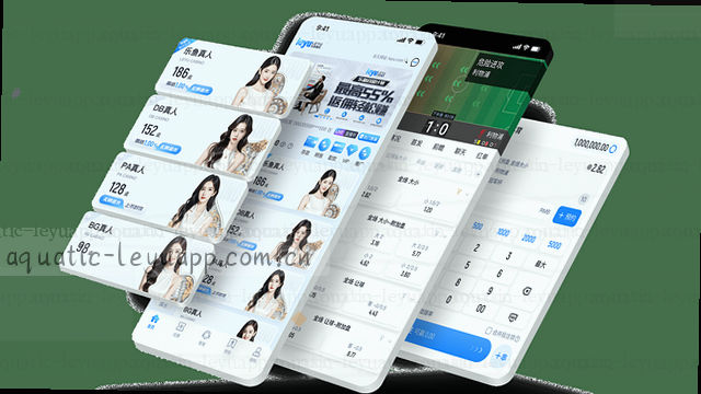 反馈准备，精准沟通